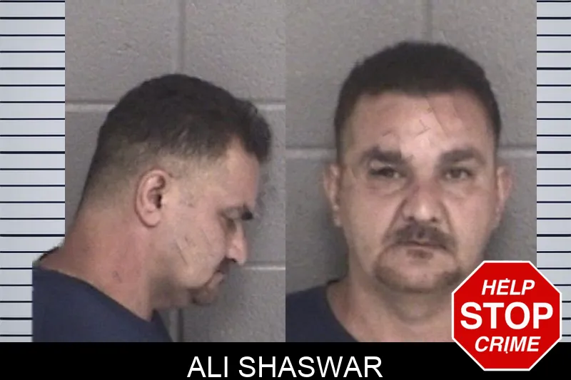Ali Shaswar mugshot
