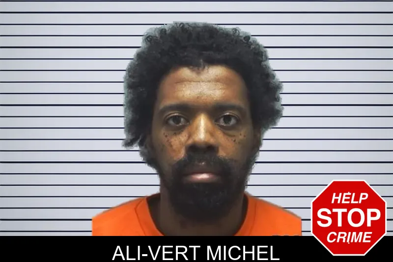 Ali-Vert Michel mugshot – Cherokee County , Georgia Ali-Vert Michel mugshot