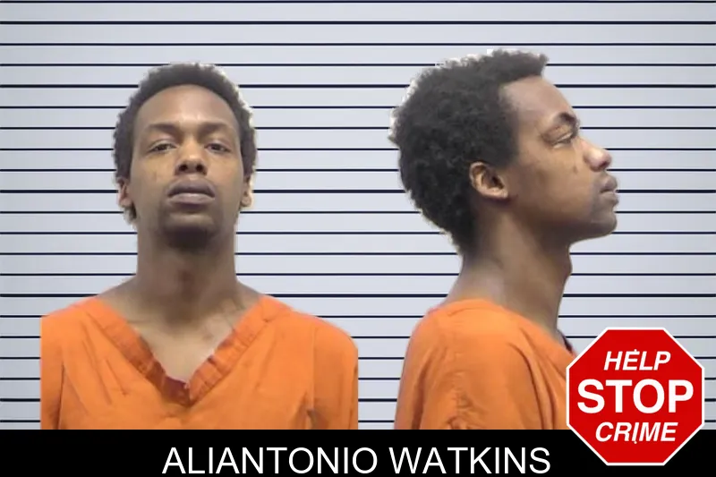 Aliantonio Watkins mugshot