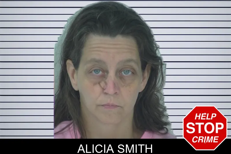 Alicia Smith mugshot – Fayette County , Georgia Alicia Smith mugshot