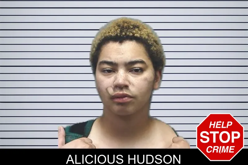Alicious Hudson mugshot