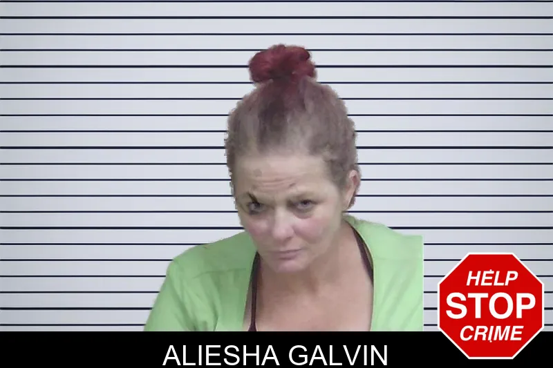 Aliesha Galvin mugshot – Wayne County , Georgia Aliesha Galvin mugshot