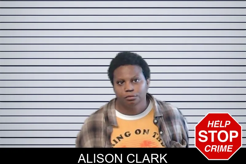 Alison Clark mugshot
