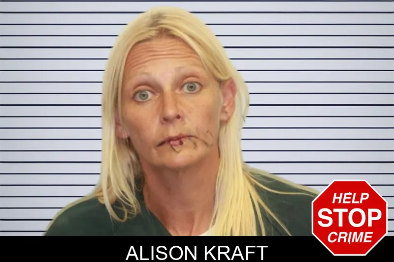Alison Kraft mugshot