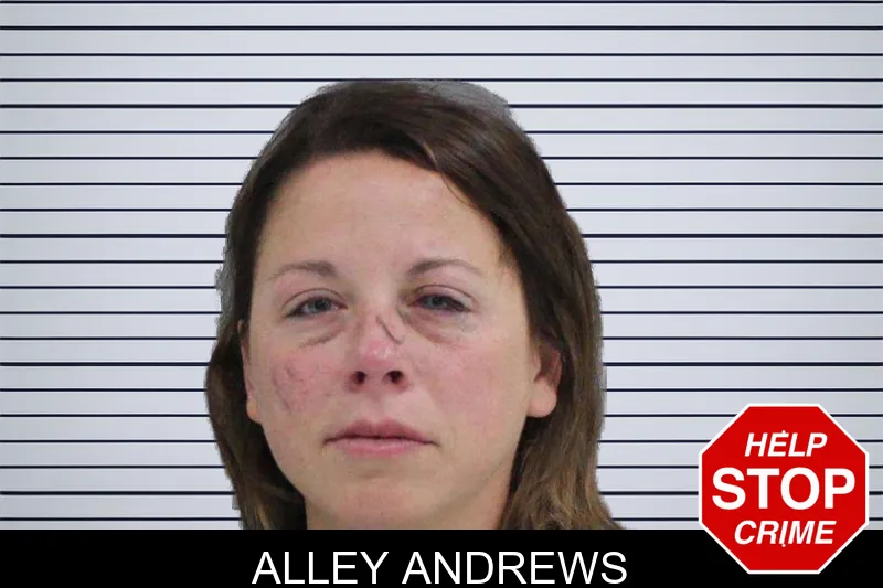 Alley Andrews mugshot