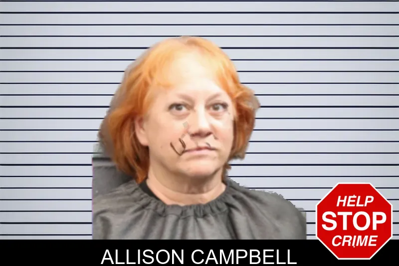 Allison Campbell mugshot – Forsyth County , Georgia Allison Campbell mugshot