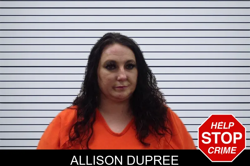 Allison Dupree mugshot – Pickens County , Georgia Allison Dupree mugshot