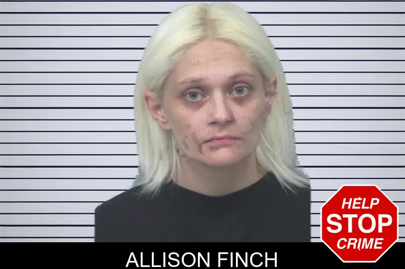 Allison Finch mugshot – Gwinnett County , Georgia Allison Finch mugshot