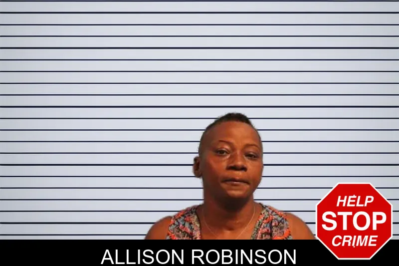 Allison Robinson mugshot