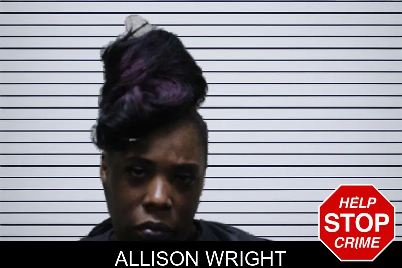 Allison Wright mugshot