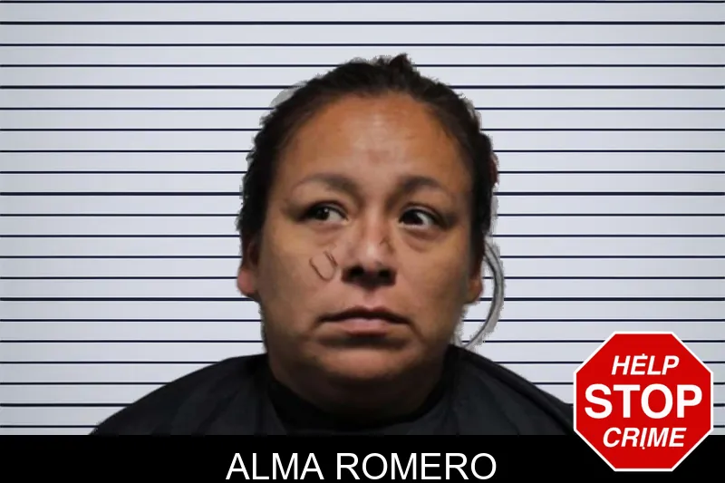 Alma Romero mugshot – Habersham County , Georgia Alma Romero mugshot