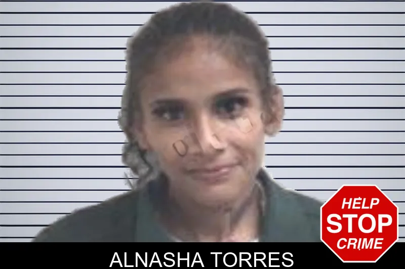 Alnasha Torres mugshot