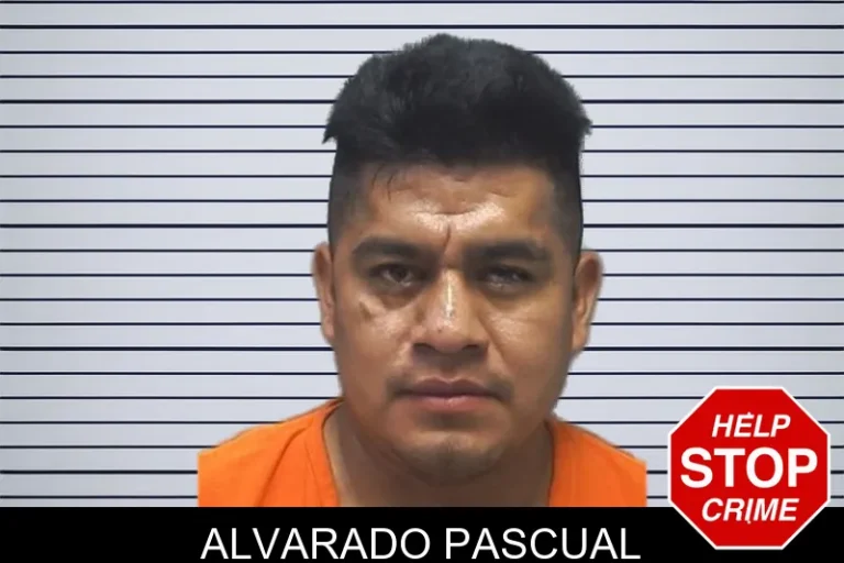 Alvarado Pascual