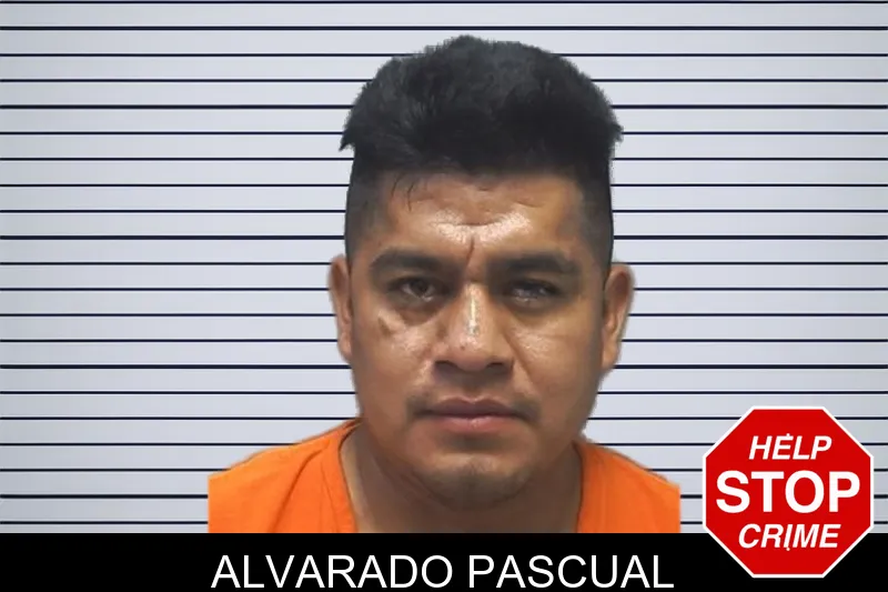 Alvarado Pascual mugshot – Cherokee County , Georgia Alvarado Pascual mugshot