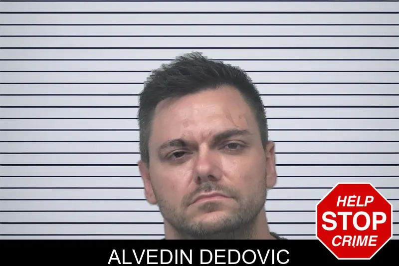 Alvedin Dedovic mugshot – Gwinnett County , Georgia Alvedin Dedovic mugshot