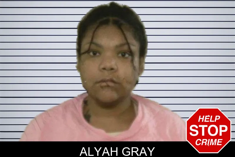 Alyah Gray mugshot – Liberty County , Georgia Alyah Gray mugshot