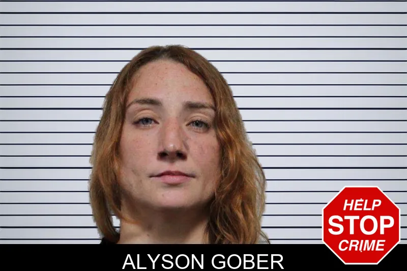 Alyson Gober mugshot