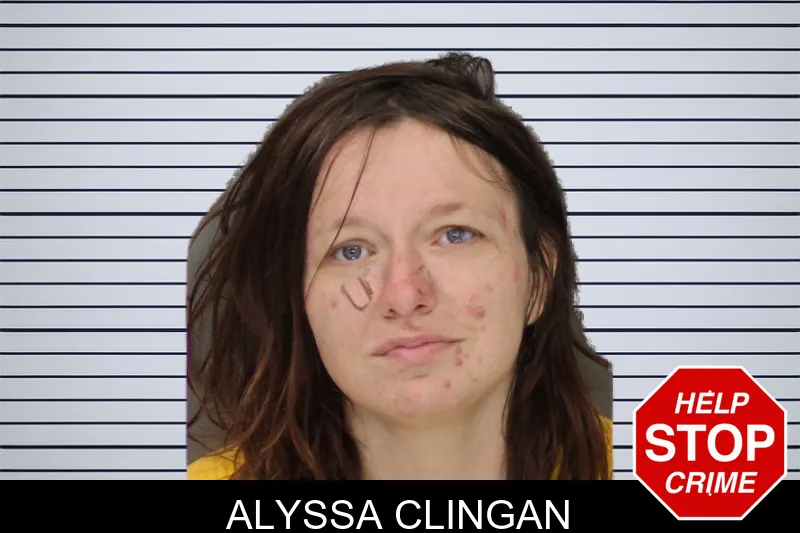 Alyssa Clingan mugshot