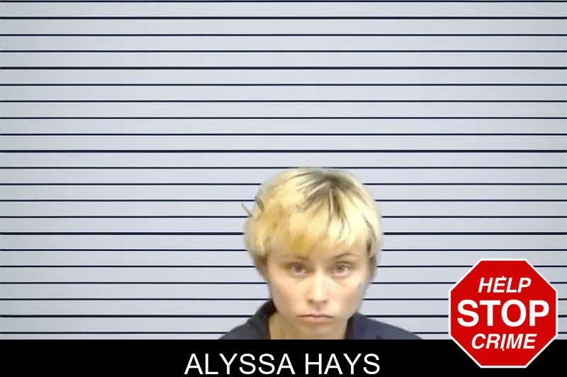 Alyssa Hays mugshot