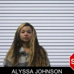 Alyssa Johnson mugshot