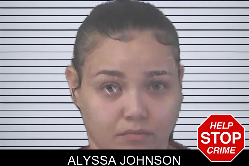 Alyssa Johnson mugshot