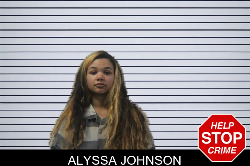 Alyssa Johnson mugshot