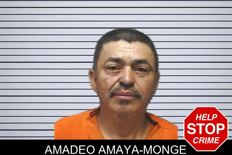 Amadeo Amaya-Monge mugshot
