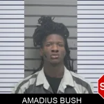Amadius Bush mugshot – Dougherty County , Georgia Amadius Bush mugshot