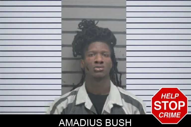 Amadius Bush mugshot – Dougherty County , Georgia Amadius Bush