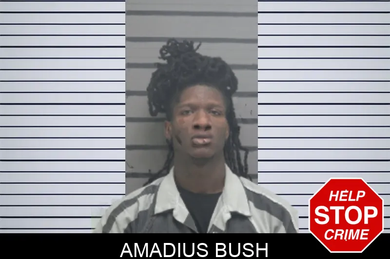Amadius Bush mugshot – Dougherty County , Georgia Amadius Bush mugshot