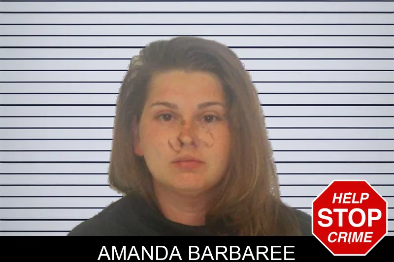 Amanda Barbaree mugshot