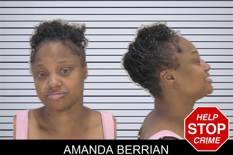 Amanda Berrian mugshot