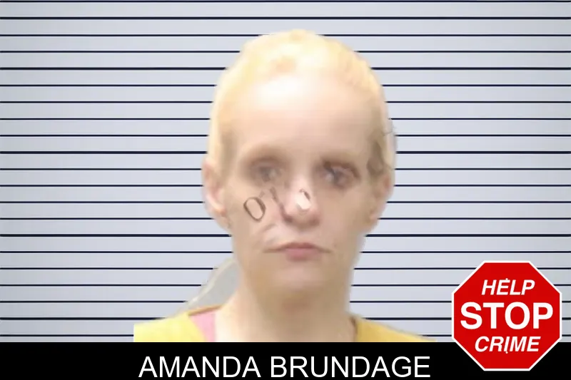 Amanda Brundage mugshot