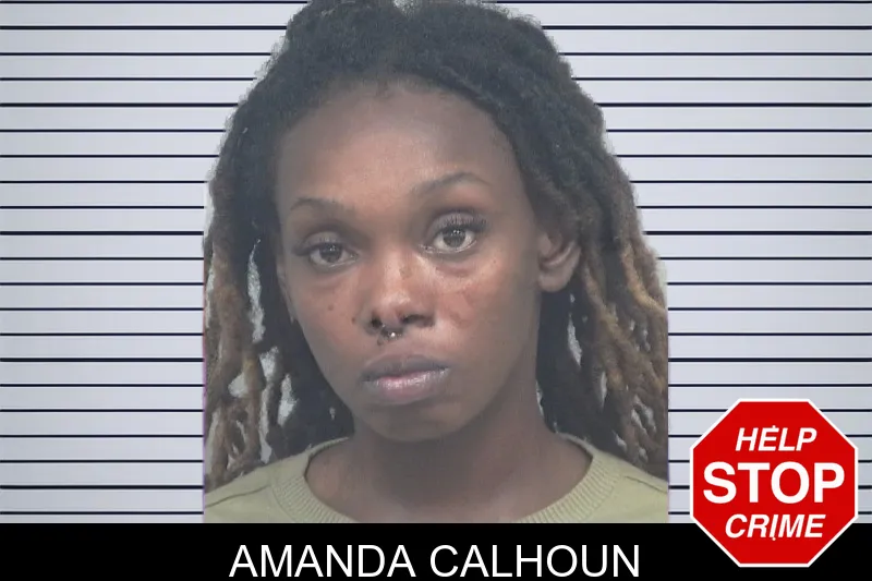 Amanda Calhoun mugshot – Gwinnett County , Georgia Amanda Calhoun mugshot