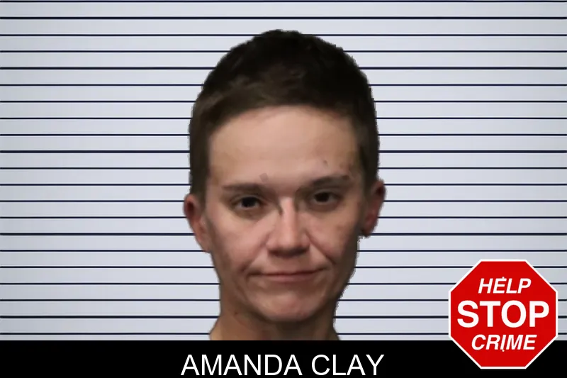 Amanda Clay mugshot