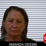 Amanda Deems mugshot
