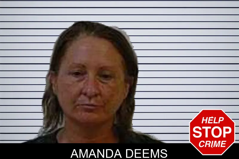 Amanda Deems mugshot