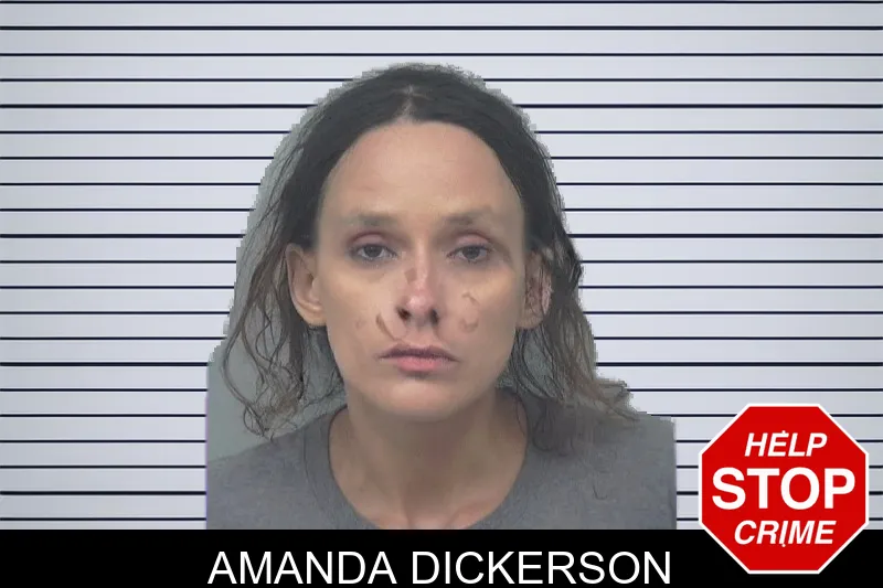 Amanda Dickerson mugshot