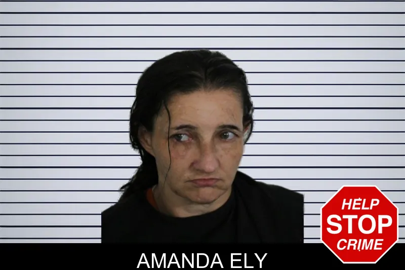 Amanda Ely mugshot