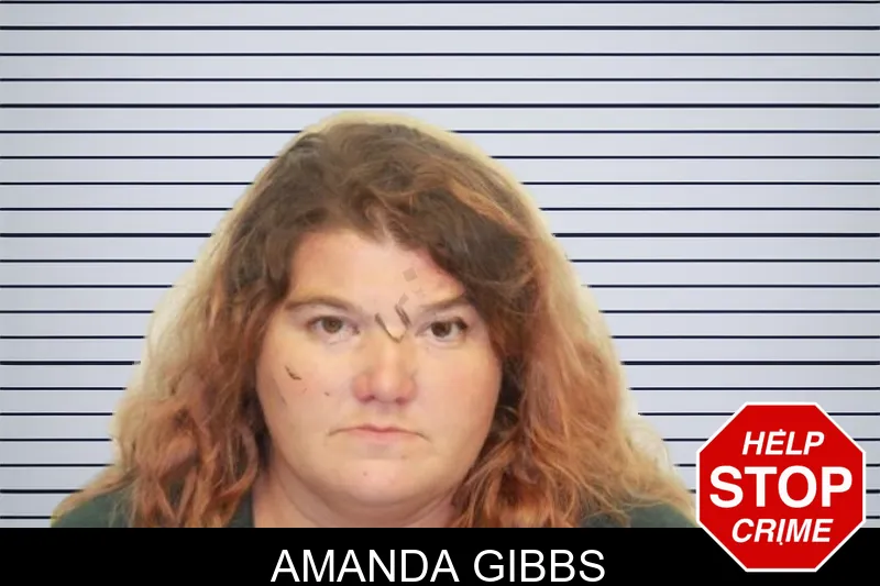 Amanda Gibbs mugshot