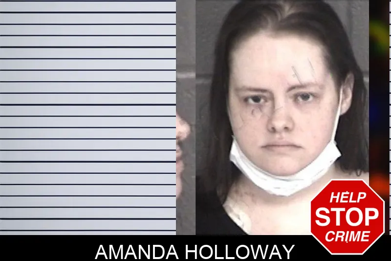 Amanda Holloway mugshot