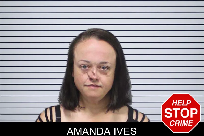 Amanda Ives mugshot