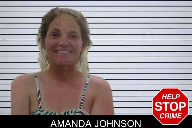 Amanda Johnson mugshot – Peach County , Georgia Amanda Johnson mugshot
