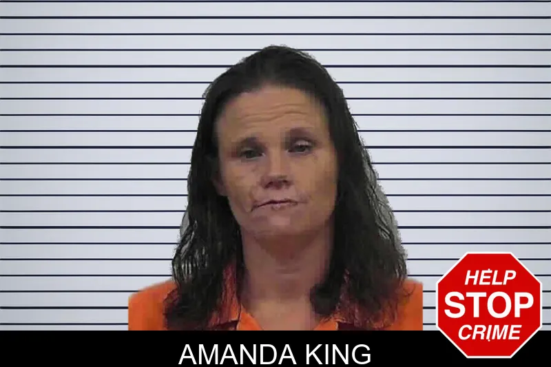 Amanda King mugshot
