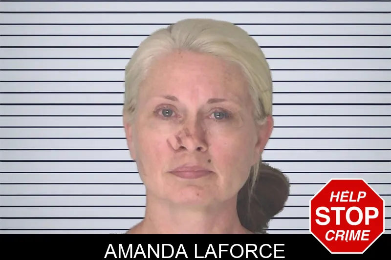 Amanda Laforce mugshot – Fannin County , Georgia Amanda Laforce mugshot