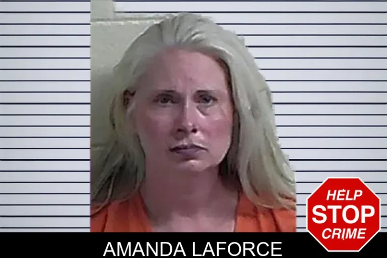 Amanda Laforce mugshot – Fannin County , Georgia Amanda Laforce