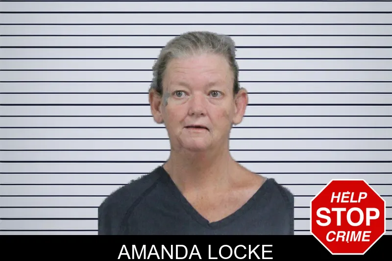 Amanda Locke mugshot