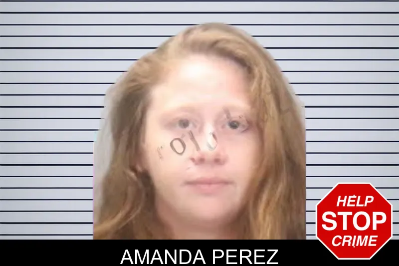 Amanda Perez mugshot