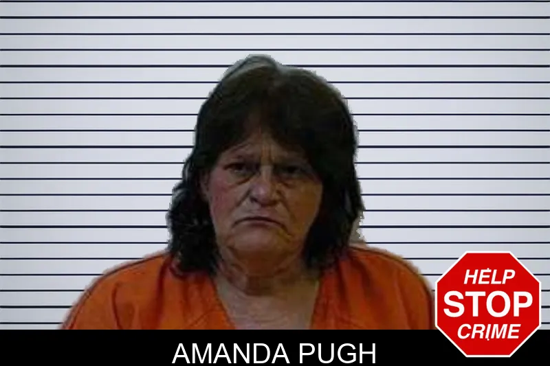 Amanda Pugh mugshot