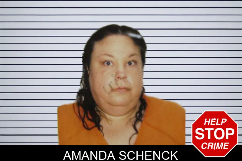 Amanda Schenck mugshot – Murray County , Georgia Amanda Schenck mugshot